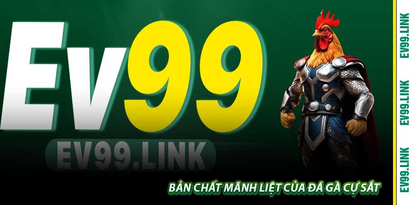 Bản chất mãnh liệt của Đá Gà Cự Sắt