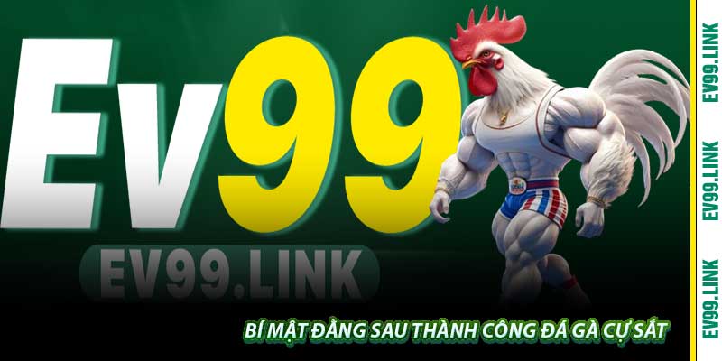 Bí mật đằng sau thành công Đá Gà Cự Sắt