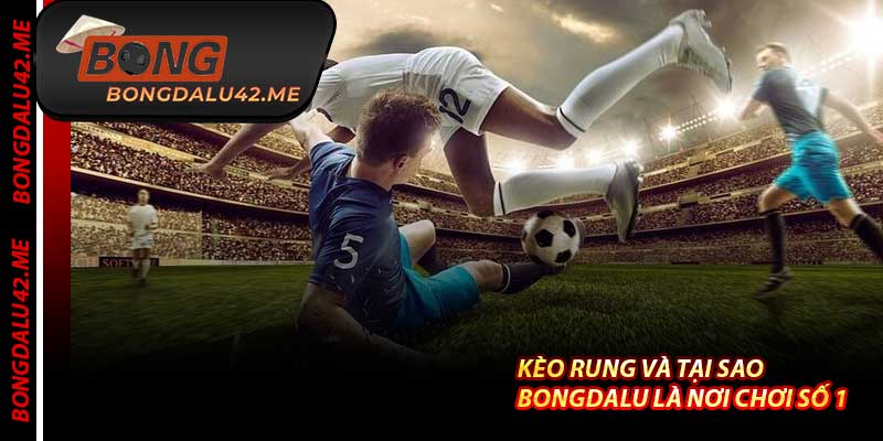 Kèo Rung Và Tại Sao Bongdalu Là Nơi Chơi Số 1