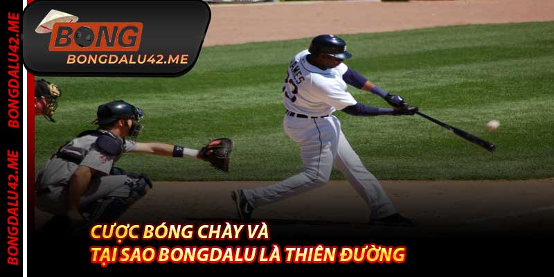 Cược Bóng Chày Và Tại Sao Bongdalu Là Thiên Đường