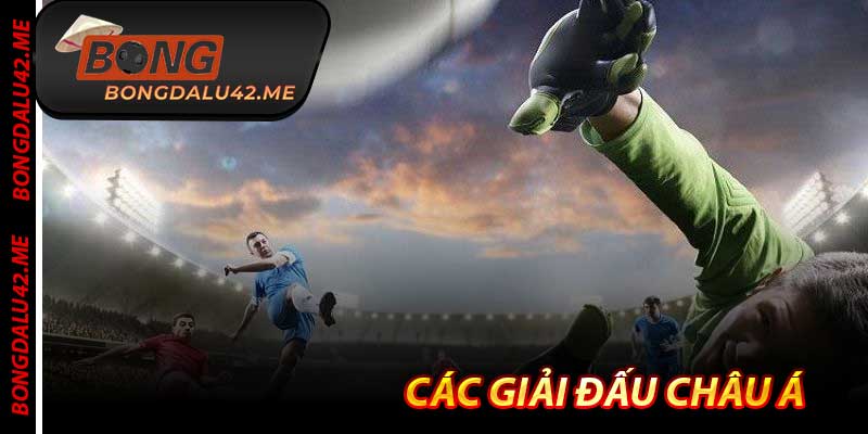 Các Giải Đấu Châu Á - Cược Bóng Đá “Ăn Dày” Nhất 2025 Tại Bongdalu