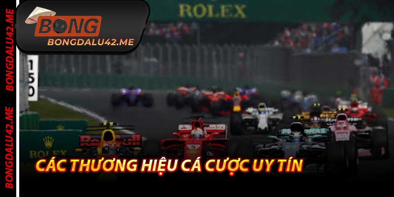 Các Thương Hiệu Cá Cược Uy Tín - Top 1 Chỉ Có Tại Bongdalu