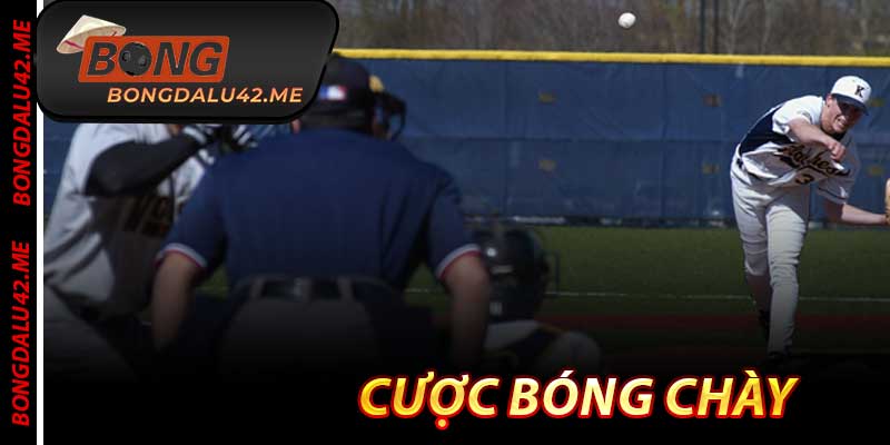 Cược Bóng Chày - Hướng Dẫn Chuẩn Nhất & Kiếm Tiền 2026