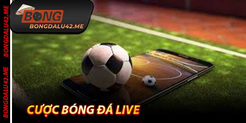 Cược Bóng Đá Live - Lợi Nhuận Cao Nhất 2026 Tại Bongdalu