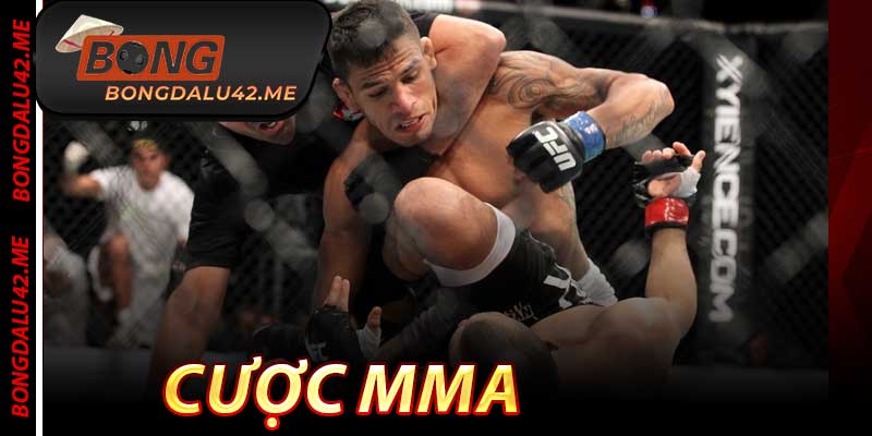 Cược MMA - Mỏ Vàng Đấm Đá Với Tỷ Lệ Thắng 83%