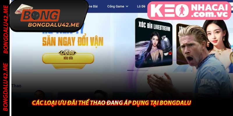 Các Loại Ưu Đãi Thể Thao Đang Áp Dụng Tại Bongdalu