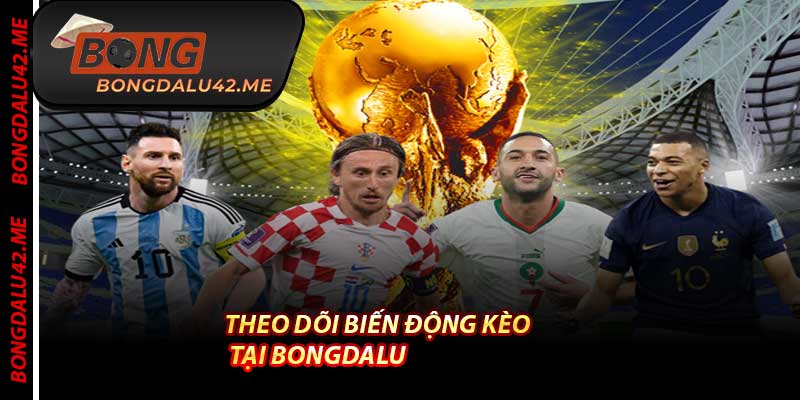 Theo Dõi Biến Động Kèo Tại Bongdalu
