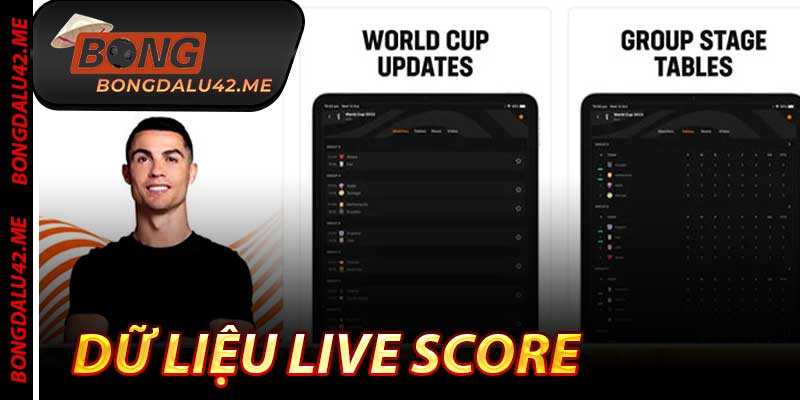 Dữ Liệu Live Score - Chuẩn Nhất Thế Giới 2025 Tại Bongdalu