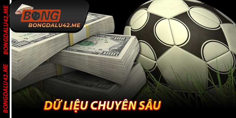 Dữ Liệu Chuyên Sâu - Lớn Nhất Việt Nam 2025 Tại Bongdalu