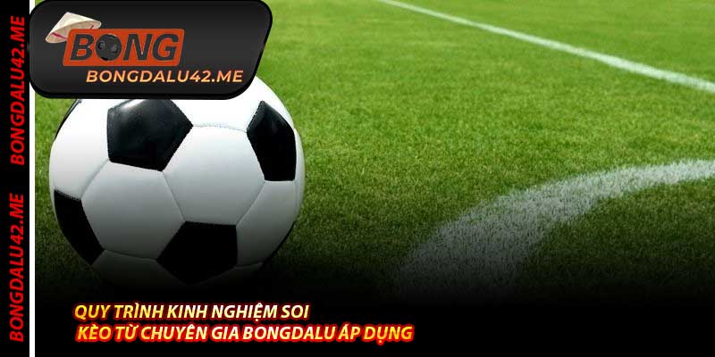 Quy Trình Kinh Nghiệm Soi Kèo Từ Chuyên Gia Bongdalu Áp Dụng