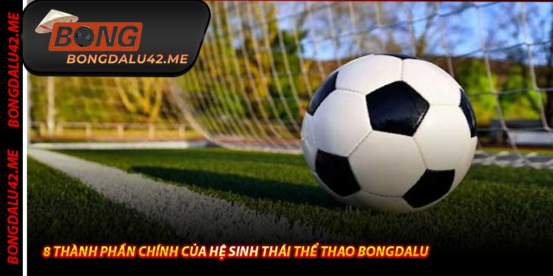 8 Thành Phần Chính Của Hệ Sinh Thái Thể Thao Bongdalu