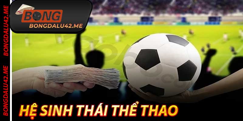 Hệ Sinh Thái Thể Thao - Hoàn Chỉnh Việt Nam 2025 Bongdalu