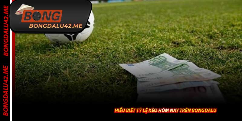 Hiểu Biết Tỷ Lệ Kèo Hôm Nay Trên Bongdalu