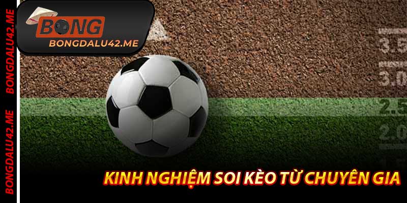 Kinh Nghiệm Soi Kèo Từ Chuyên Gia - Bí Quyết Bongdalu 2026