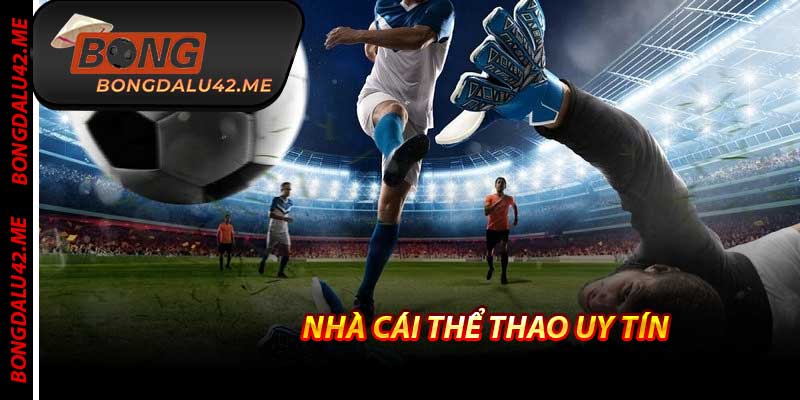 Nhà Cái Thể Thao Uy Tín - Top 1 Việt Nam 2025 Tại Bongdalu