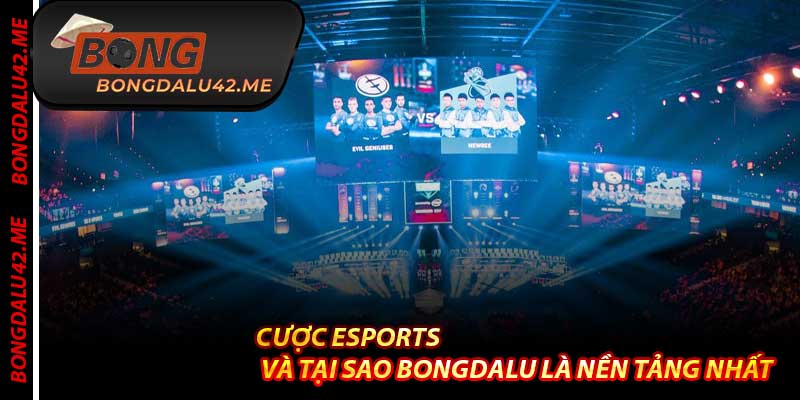 Cược Esports Và Tại Sao Bongdalu Là Nền Tảng Nhất