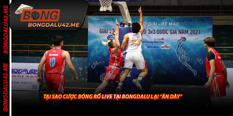Tại Sao Cược Bóng Rổ Live Tại Bongdalu Lại “Ăn Dày”