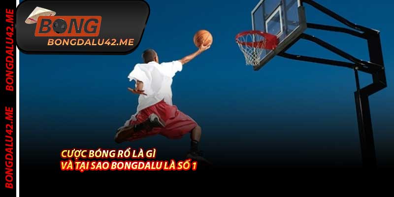 Cược Bóng Rổ Là Gì Và Tại Sao Bongdalu Là Số 1
