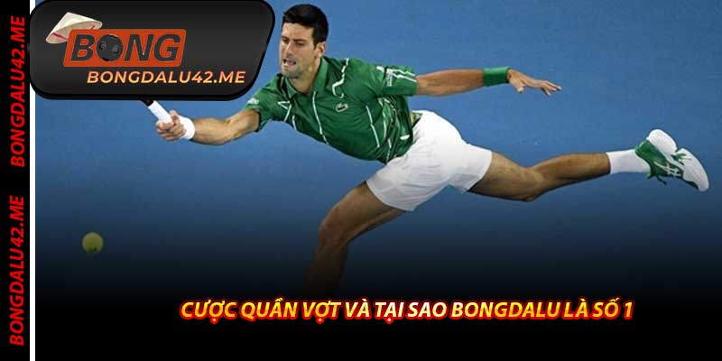 Cược Quần Vợt Và Tại Sao Bongdalu Là Số 1