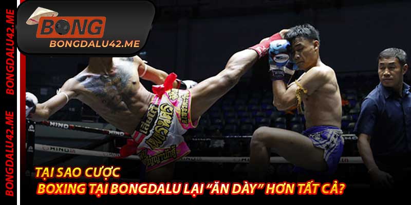 Tại Sao Cược Boxing Tại Bongdalu Lại “Ăn Dày” Hơn Tất Cả?