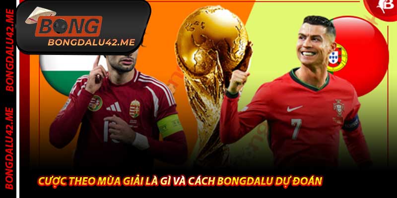 Cược Theo Mùa Giải Là Gì Và Cách Bongdalu Dự Đoán 