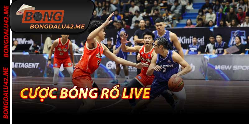 Cược Bóng Rổ Live - Tỷ Lệ Cao Nhất 2025 Tại Bongdalu