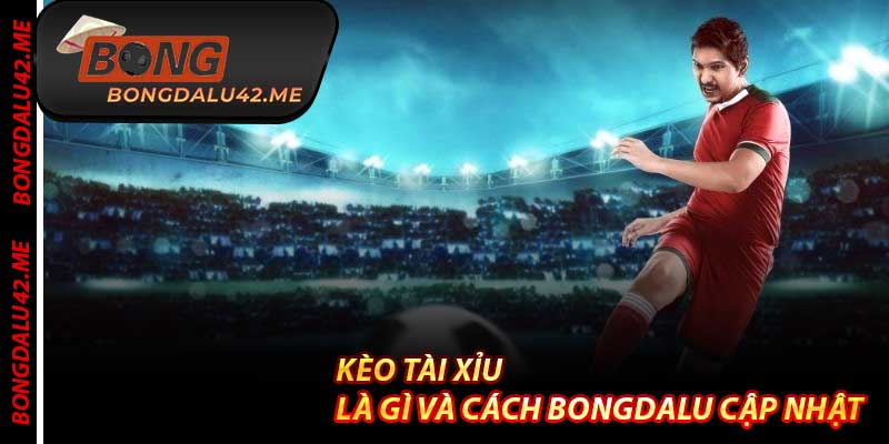 Kèo Tài Xỉu Là Gì Và Cách Bongdalu Cập Nhật
