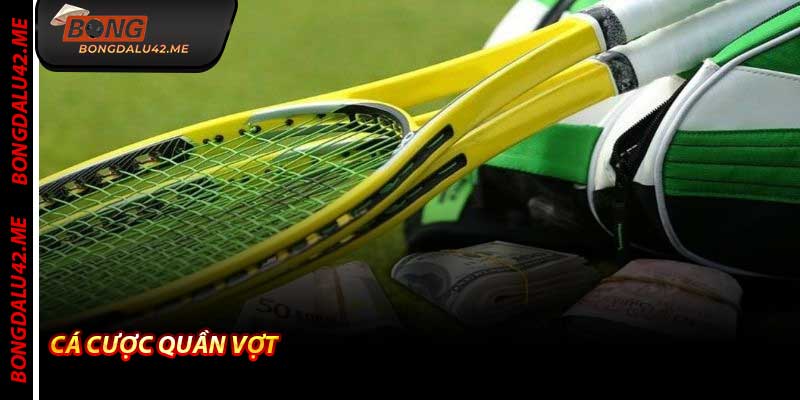 Cá Cược Quần Vợt - Tỷ lệ kèo tennis hot nhất Bongdalu 2026