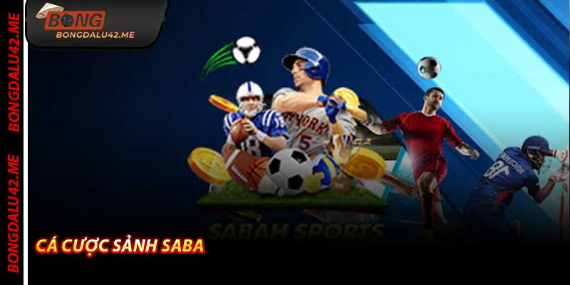 Cá Cược Sảnh Saba - Tỷ lệ kèo bóng đá hot của những năm 2026