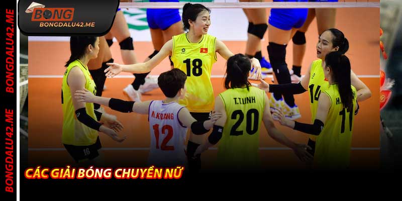Các Giải Bóng Chuyền Nữ - Cập nhật lịch ở Bongdalu 2026