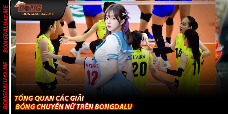 Tổng quan Các Giải Bóng Chuyền Nữ trên Bongdalu
