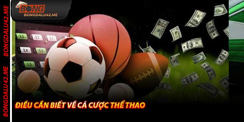Điều Cần Biết Về Cá Cược Thể Thao - 2026 trên Bongdalu