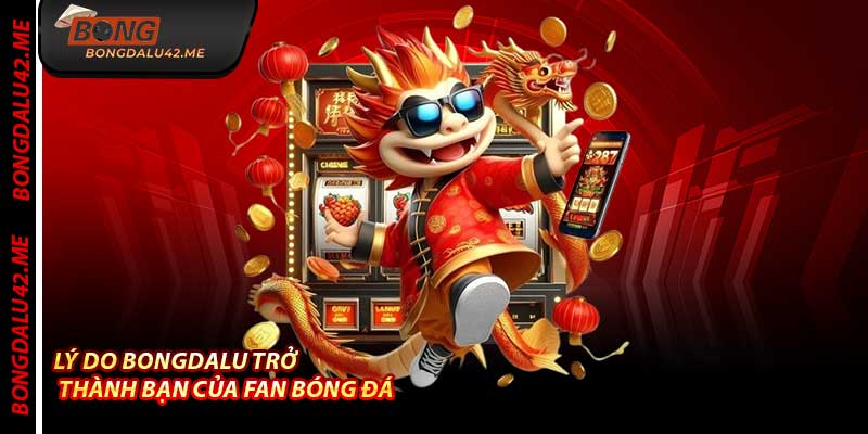 Lý Do Bongdalu Trở Thành Bạn Của Fan Bóng Đá