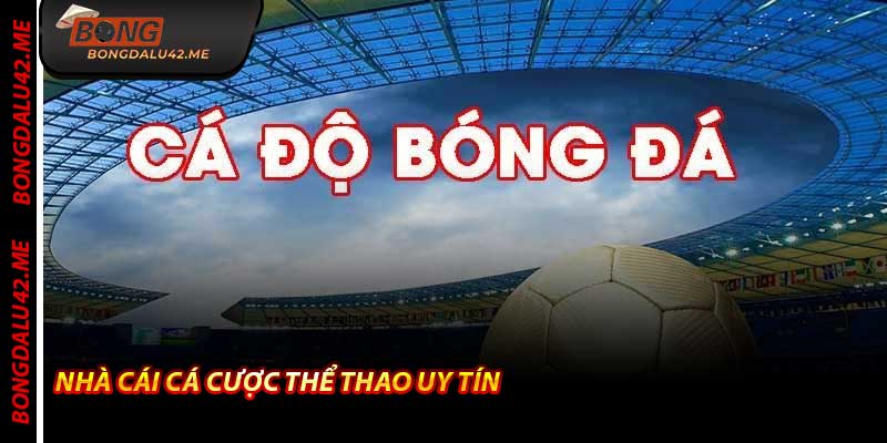 Nhà Cái Cá Cược Thể Thao Uy Tín - Bongdalu gợi ý top 2026