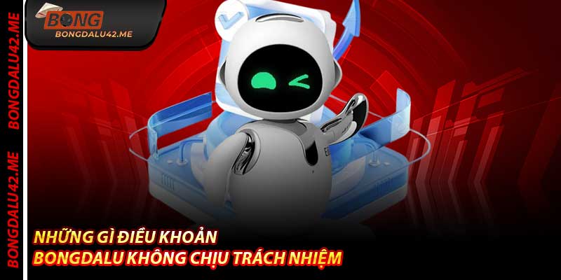Những Gì Điều Khoản Bongdalu Không Chịu Trách Nhiệm