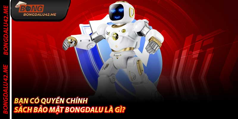 Bạn Có Quyền Chính Sách Bảo Mật Bongdalu Là Gì?