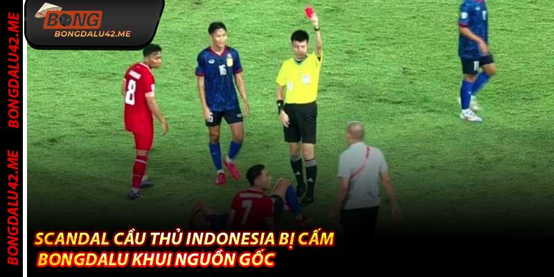 Scandal Cầu Thủ Indonesia Bị Cấm – Bongdalu Khui Nguồn Gốc