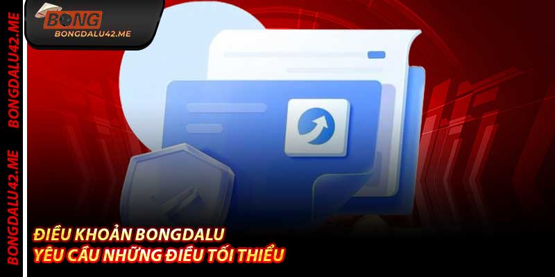 Điều Khoản Bongdalu Yêu Cầu Những Điều Tối Thiểu