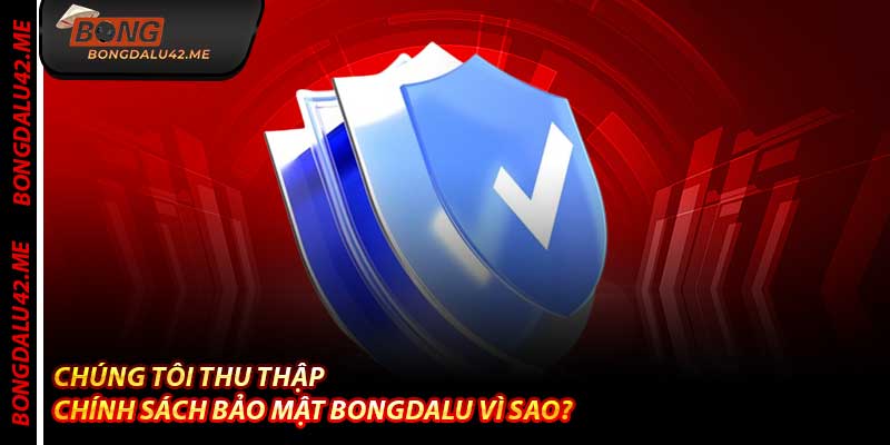 Chúng Tôi Thu Thập Chính Sách Bảo Mật Bongdalu Vì Sao?